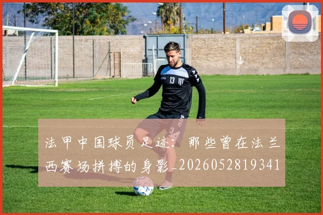 法甲中国球员足迹:那些曾在法兰西赛场拼搏的身影_20260528193418
