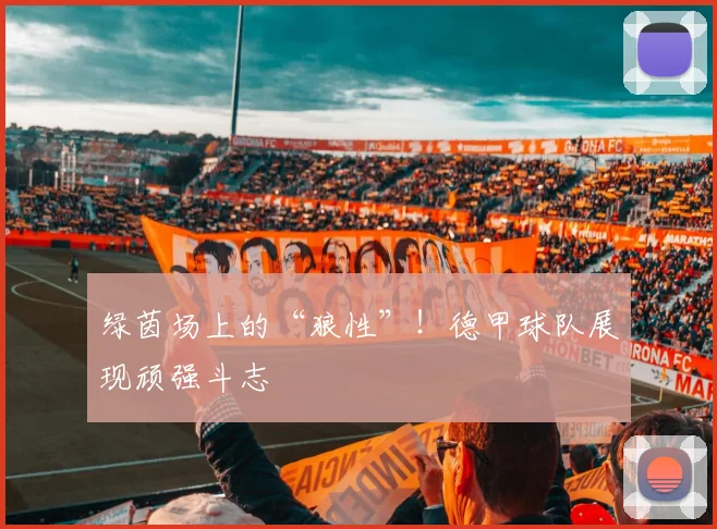绿茵场上的“狼性”!德甲球队展现顽强斗志