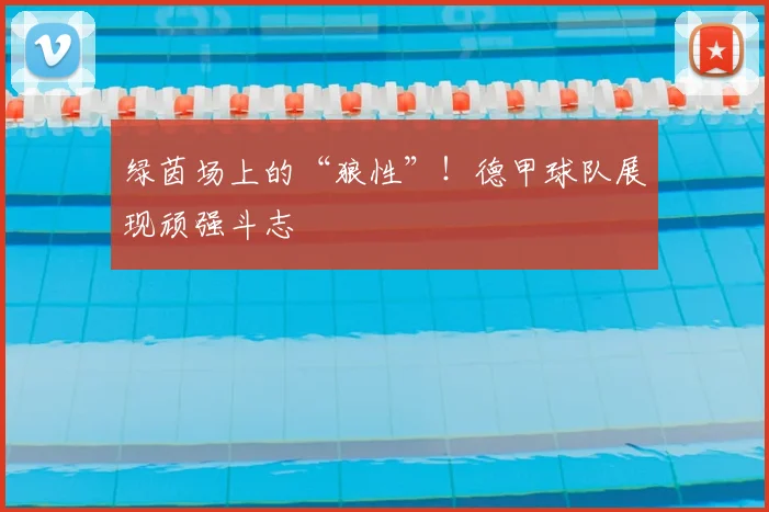 绿茵场上的“狼性”！德甲球队展现顽强斗志